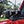 2021-2025 BRONCO DUAL MIRROR MOUNTED OFF-ROAD LIGHTS